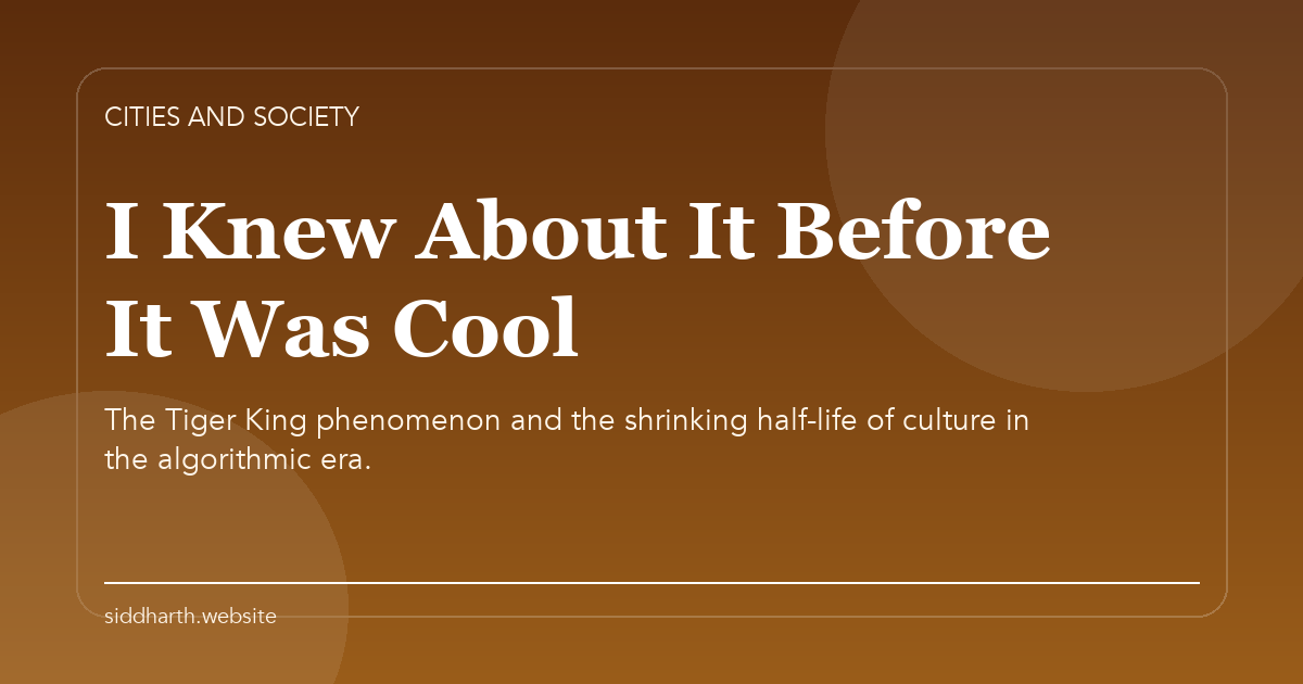 Title card for "I Knew About It Before It Was Cool" about The Tiger King phenomenon and the shrinking half-life of culture in the algorithmic era.